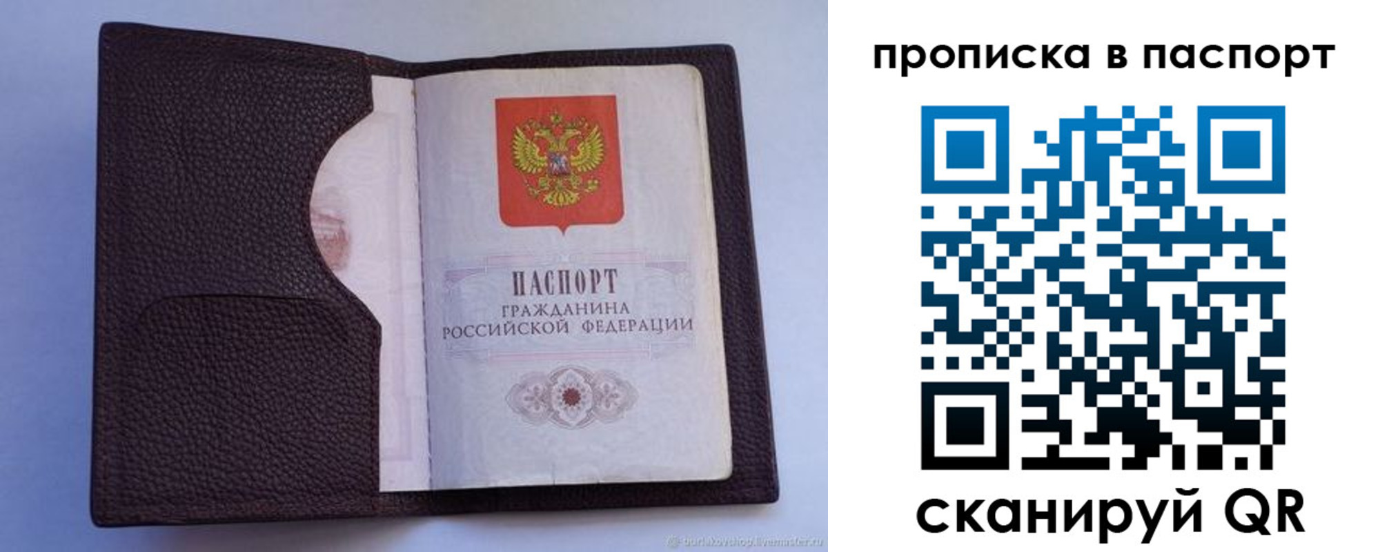 прописка законно в Краснодаре